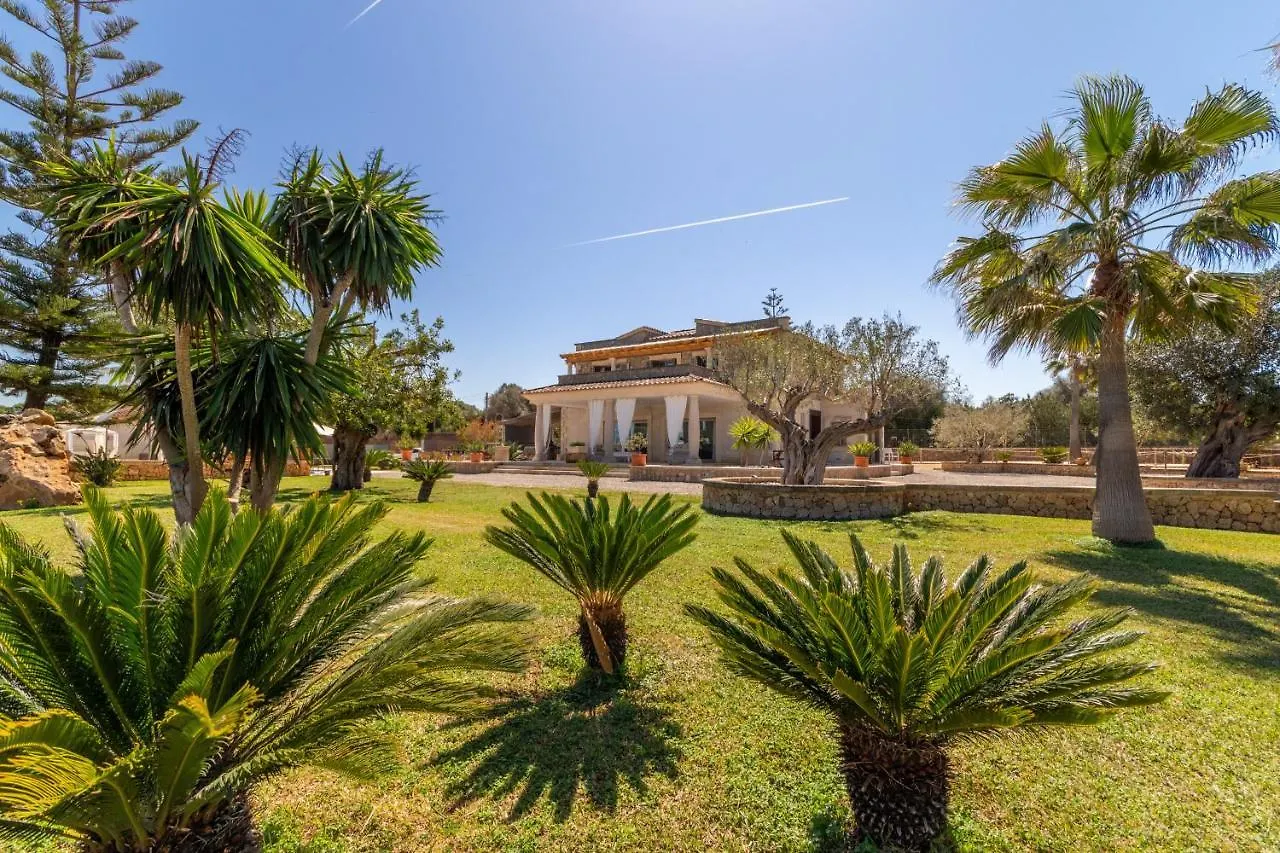 Muroo - 2520 Mallorca Spain